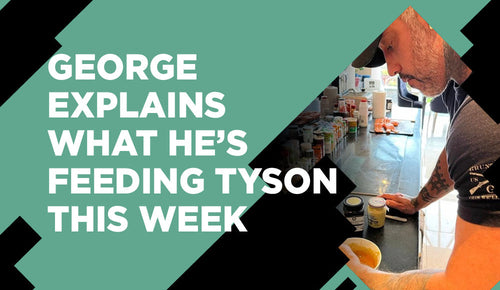Boxing Nutrition: What I'm Feeding Tyson Fury this Week